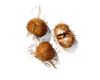 Acai Oil