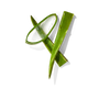 Aloe Juice