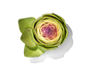 Artichoke Leaf Extract