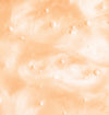 Clean Canvas Gel Cleanser
